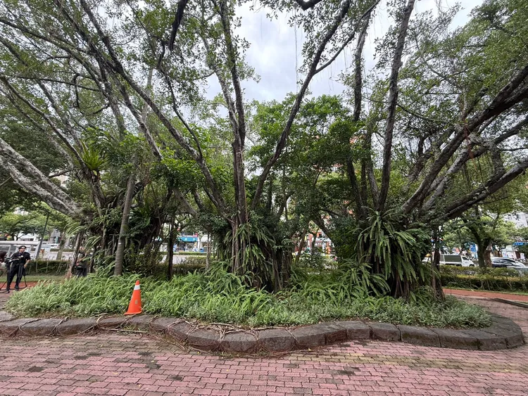 法官與警員找到張俊傑破壞丟棄的電子手鐶現場-大安森林公園7號所附近花圃。讀者提供