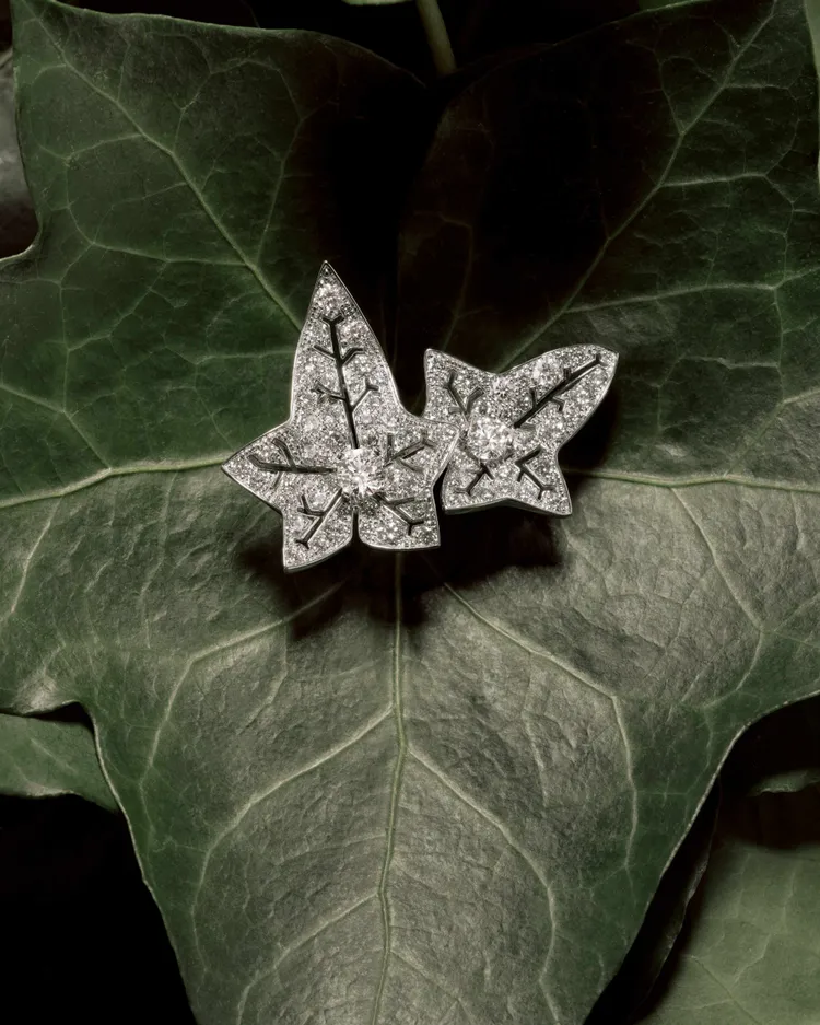 BOUCHERON 2026 Lierre de Paris常春藤系列作品。品牌提供