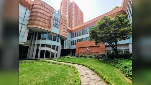 廣東話不再是標配？港大醫學院招生改制　挨批「去港化」凌駕醫療專業