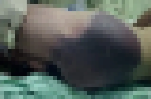 侯姓兄弟疑以塑膠球棒私刑虐打，導致侯男臀部大面積瘀傷瘀血，送醫後傷重不治。翻攝畫面