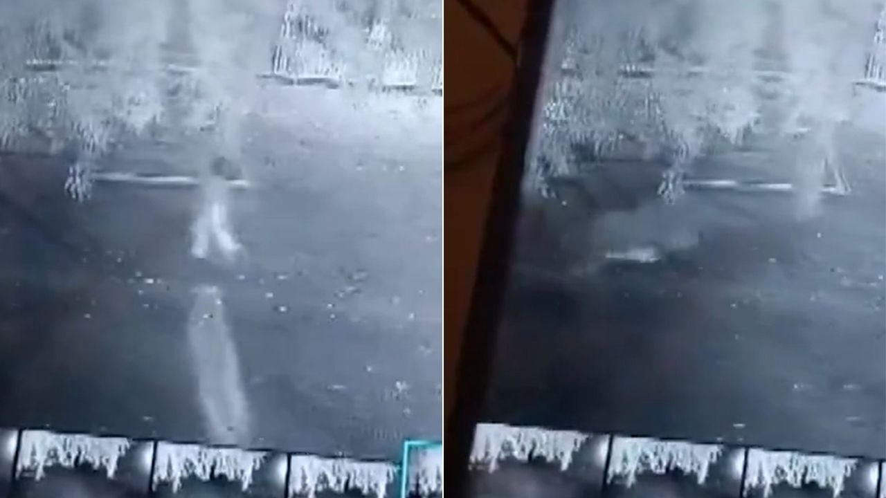 影片|獵豹尾隨突襲「叼走6歲女」 1小時後尋獲已是屍體
