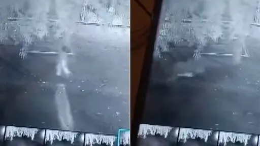 影片｜獵豹尾隨突襲「叼走6歲女」　1小時後尋獲已是屍體