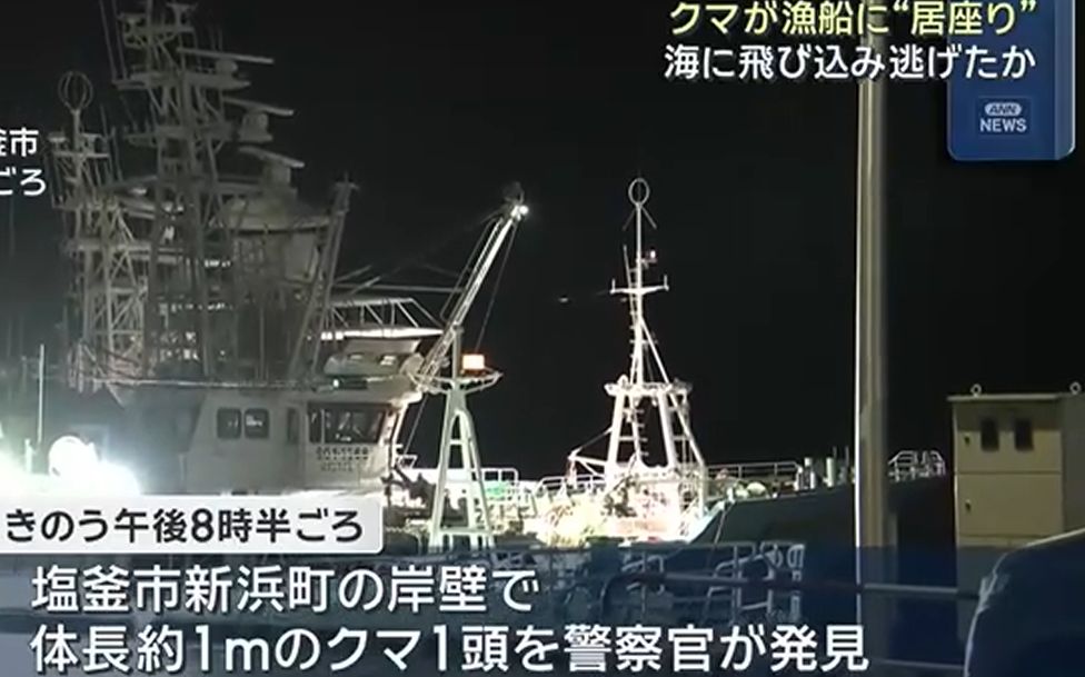 警察狂追!日本黑熊竟跳上漁船 躺4小時後跳海游走