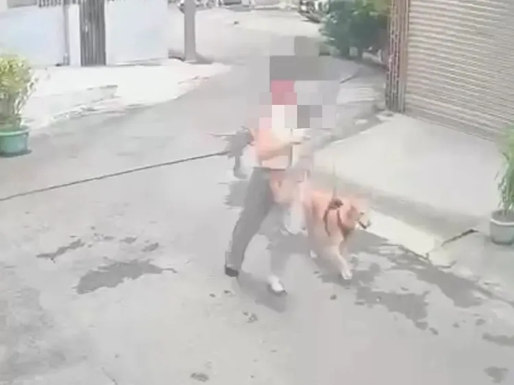 遛狗女子帶著愛犬狂奔。翻攝畫面
