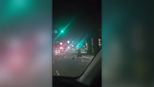 俄羅斯男酒後失控！站台2線路中攔車　脫序畫面曝光