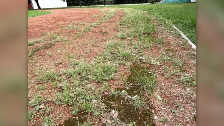 教育部國教署南下視察6校操場跑道。雲縣府提供