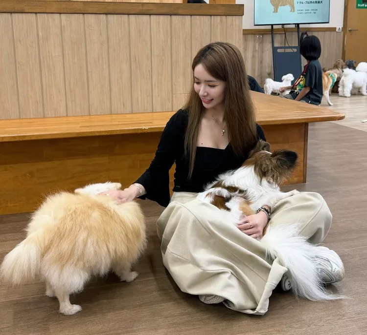 禾羽跟萌犬們互動。翻攝禾羽IG