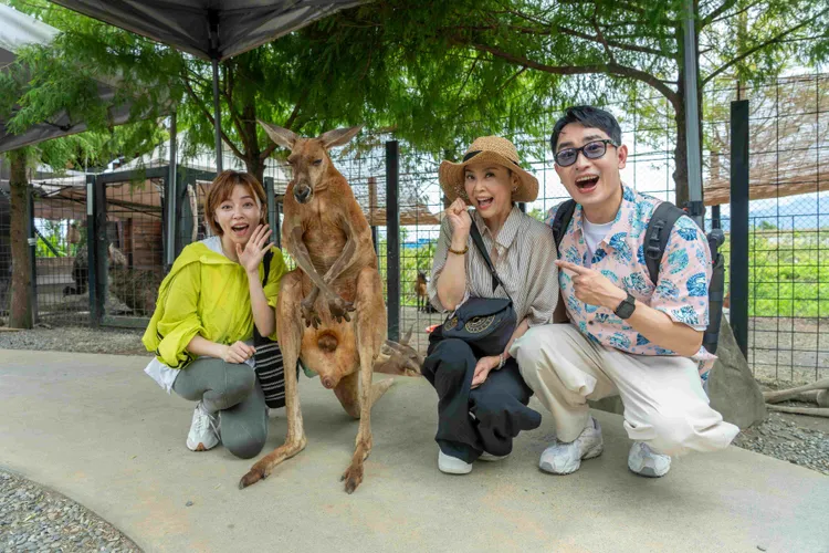 王瞳（左起）與方馨、陳謙文挑戰摸袋鼠蛋蛋，陳謙文大喊像摸沒有毛的荔枝。東森綜合台提供