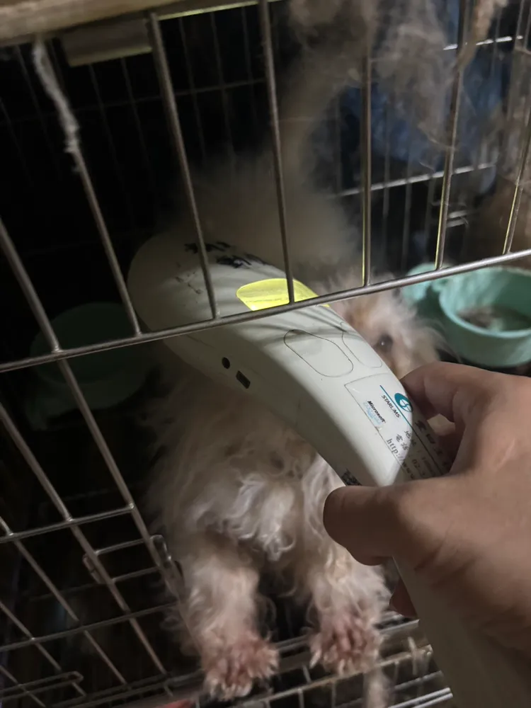 動保處人員至三重租屋稽查寵物登記狀況。動保處提供