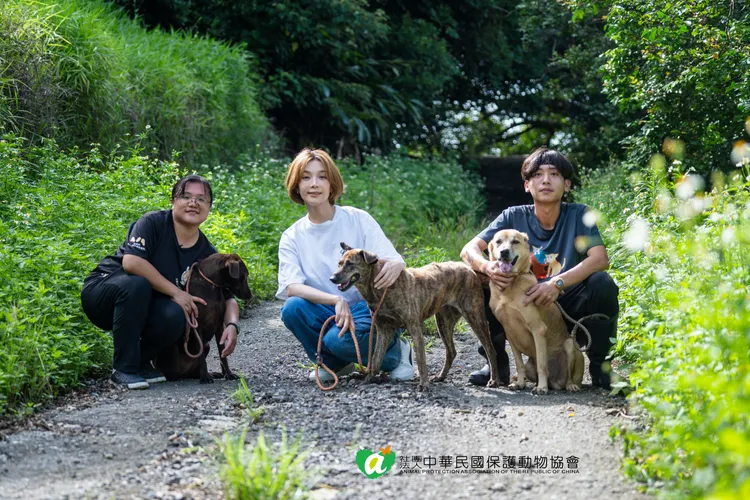 蔡淑臻（中）曾被4狗追，留下童年陰影。貝殼放大提供