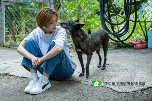 蔡淑臻4歲遭4狗狂追　靠愛犬走出陰影
