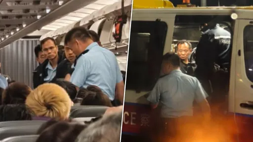 機警乘客直擊「機艙老鼠」　拍照通報空姐逮竊賊
