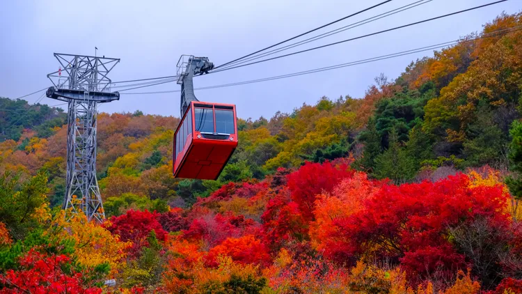 大芚山為韓國秋季賞楓亮點之一，搭乘纜車即可俯瞰秋日美景。可樂旅遊提供