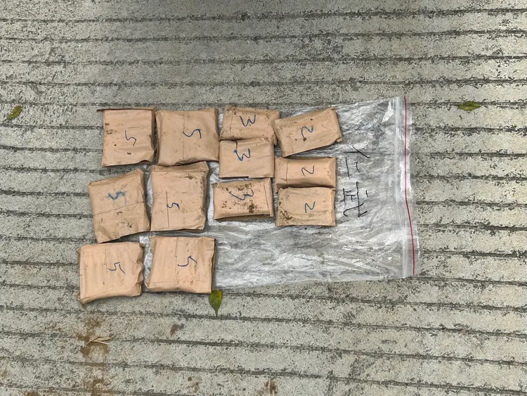 警方起出大批大麻毒品。翻攝畫面