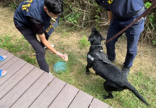 公園步道藏毒！毒販埋到忘記位置　南打警派緝毒犬嗅出大麻煙彈
