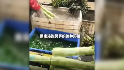中國「毒蔬菜」再現！萵筍發黃不怕　化學染色劑上色再賣