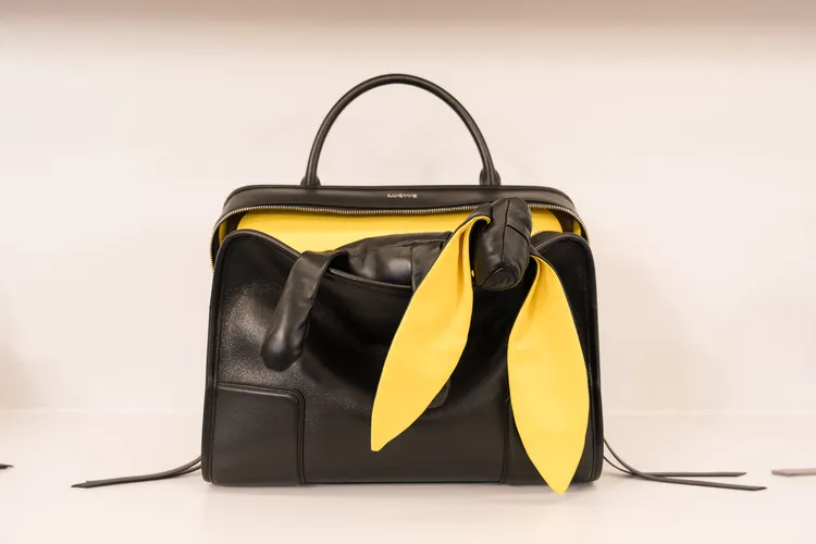 LOEWE Amazona 180包款，這季多了「寶寶」設計，在包袋中藏了可愛小動物。品牌提供
