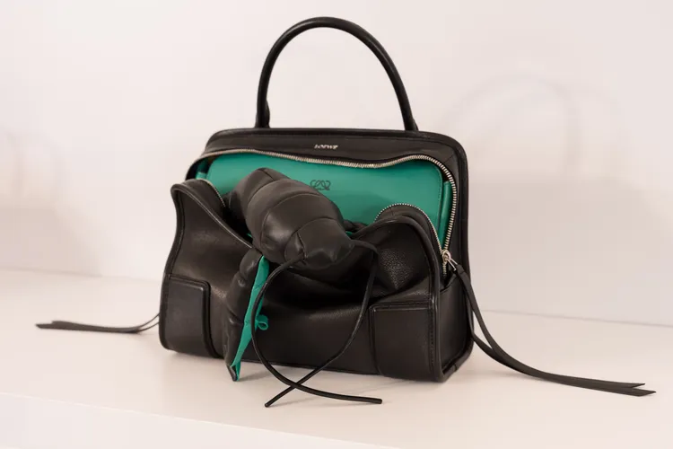 LOEWE Amazona 180包款，這季多了「寶寶」設計，在包袋中藏了可愛小動物。品牌提供