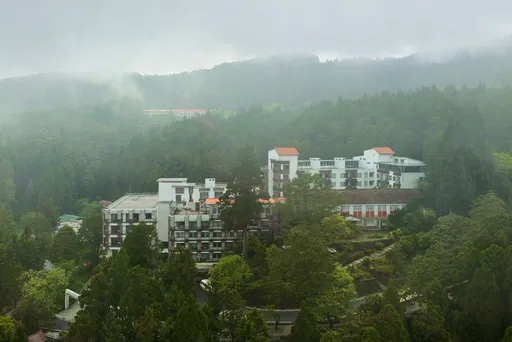 避開人潮玩南台灣！Taiwan Pass 3天2夜秋遊攻略
