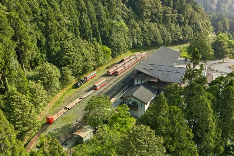 清晨搭祝山觀日列車看日出，漫步阿里山車站及商店街，之後搭阿里山林鐵返回嘉義，再轉乘台鐵至高雄展開港都文化藝術殿堂之旅。阿里山賓館提供