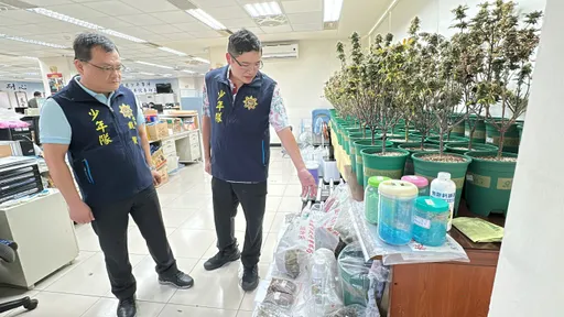 太歲頭上動土！地檢署旁租屋種大麻　桃警強勢破獲抄出兩千萬毒品
