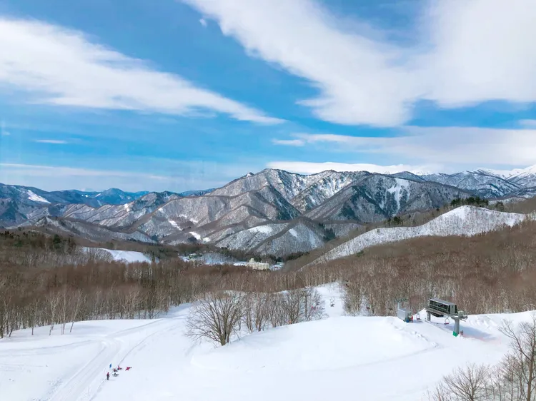 雄獅今年滑雪商品開賣僅1個月，銷量已達去年全年5成。雄獅旅遊提供