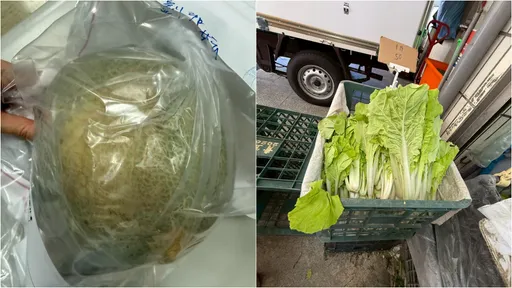 北市抽驗16件蔬果不合格　晶華洋香瓜、全聯小白菜上榜