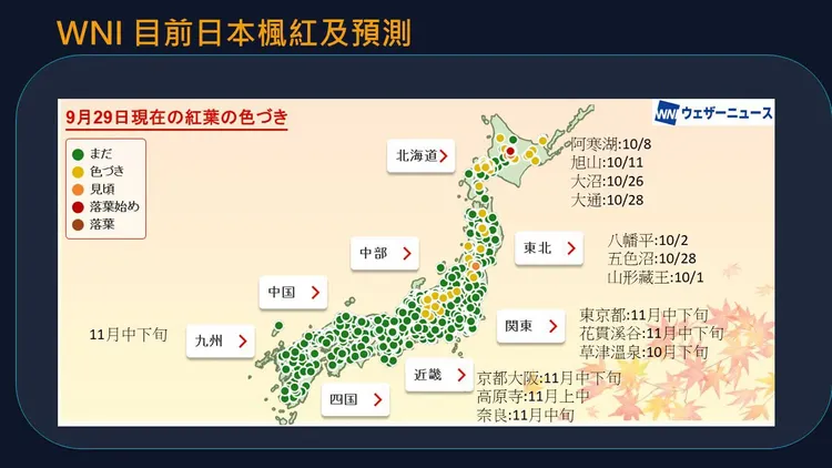 賈新興分享2026年日本楓紅預測。賈新興臉書