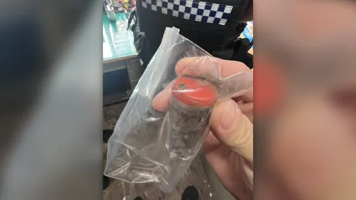 校園遭丟爆裂物！24歲男涉自製「火藥＋鋼珠」炸彈　家中還起出毒煙油
