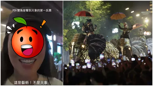 「大象來了」攻占士林震撼10萬人　舞界女神感動哭了