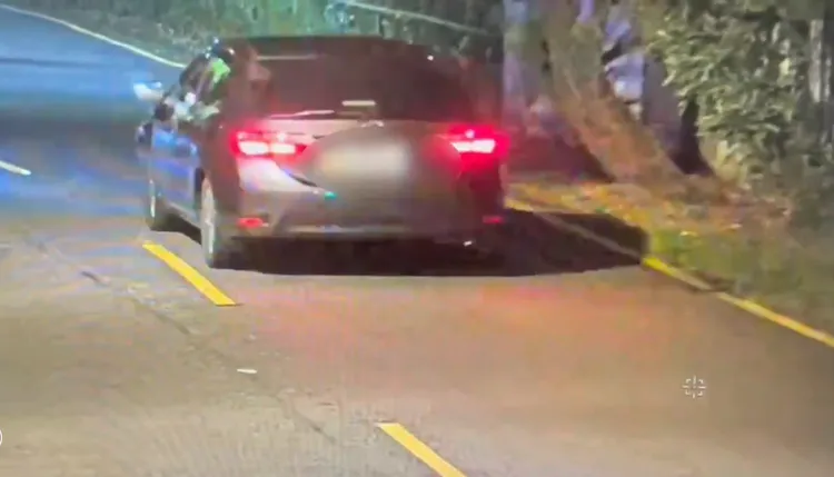 兩人開一輛車上陽明山，最後卻只有周男一人下山，鄭女就此杳無音訊，被找到時已成白骨。翻攝畫面