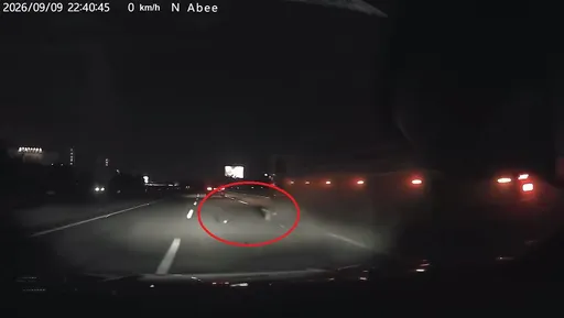 聯結車國道爆胎害11車撞胎皮　受害駕駛脫口飆國罵畫面曝