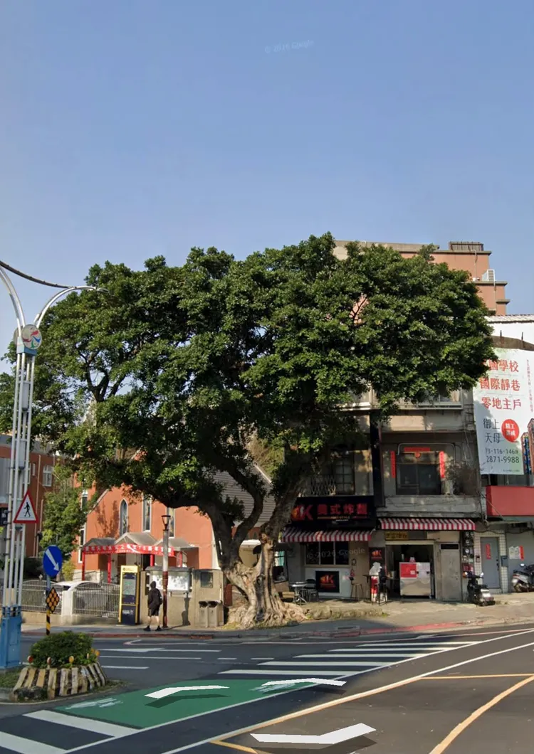圖為中山北路七段一棵被北市府砍斷的樹。取自threads