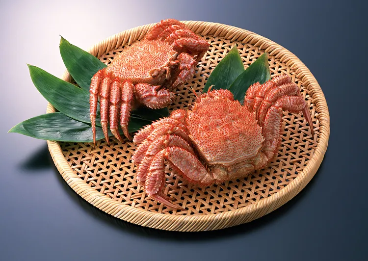 台北美福晴山日本料理的「金秋饌蟹」宴，針對喜愛細嚐蟹味的賓客，提供北海道公認的蟹中極品「毛蟹」，充滿細毛的硬殼下，是肉質細嫩的甘甜蟹肉，無論清蒸或炭烤皆可原味品鮮。台北美福大飯店提供