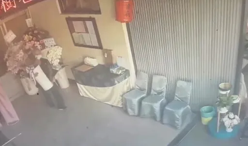 靈堂偷花真的太缺德！蘭花不翼而飛　他轉頭就做起無本生意