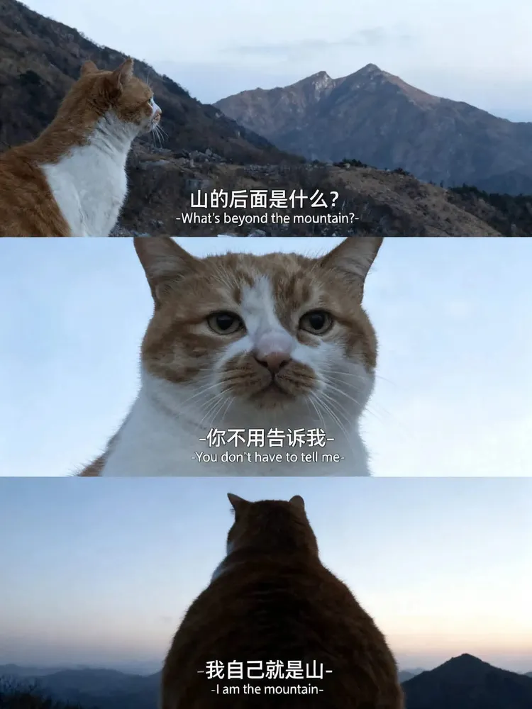 蕭淑慎以網路圖片象徵心境。翻攝蕭淑慎臉書