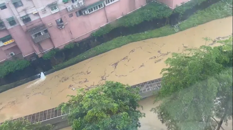 今天上午基隆出現驚人雨勢，導致大武崙溪水暴漲。翻攝照片