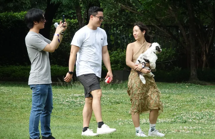飼主未替犬貓完成登記及植入晶片者，可處3000元至1萬5000元罰鍰。莊宗達攝