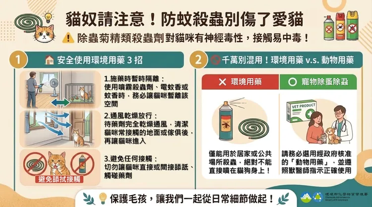 防範貓咪中毒相關資訊。環境部提供