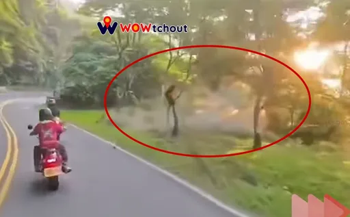 中秋連假北宜跑山「壓車」慘了！　北宜紅牌重機過彎失控連人帶車墜邊坡