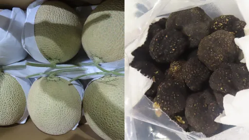 邊境攔截！日本哈密瓜驗出農藥殘留　保加利亞黑松露鎘含量超標