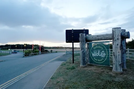 影｜以為老虎想跟他玩？英國男闖虎穴被咬死　生前互動畫面曝