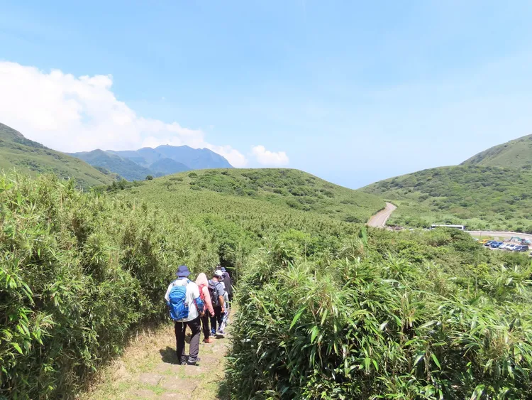 學者指出，國旅正愈來愈「都市化」，今年上半年六都旅客人次就占全台77.4%。陽明山國家公園臉書