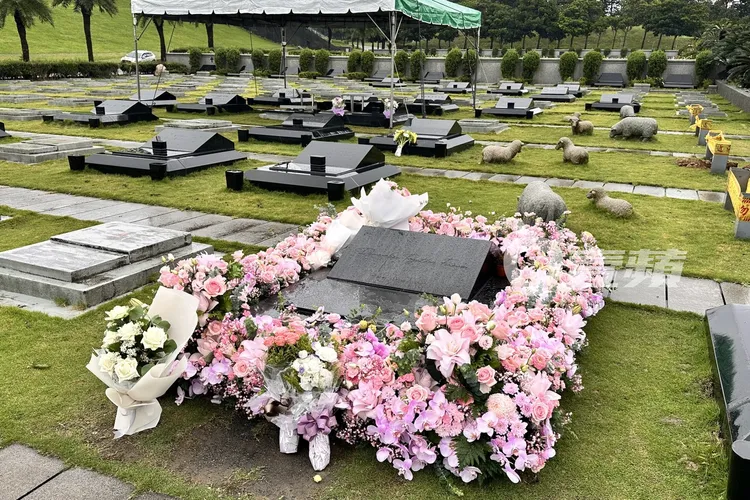 大S冥誕，具俊曄貼心用粉色花朵布置她的墳墓。特勤中心攝