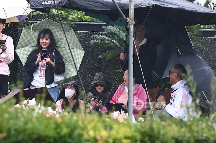 大姊珍珍（左起）、范范、小S、S媽及陳建州，一起觀賞平板電腦的回憶影片。特勤中心攝