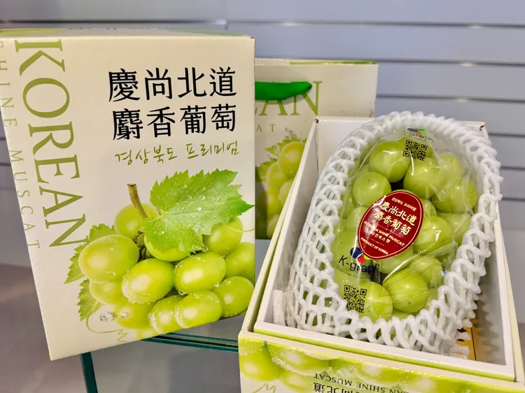 韓國麝香葡萄目前各通路售價約為2公斤900元。莊偉祺攝