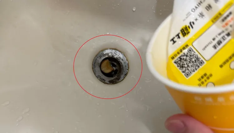 消費者喝完飲料清理杯子時倒出1隻活蛞蝓。Threads/wwz_0144提供