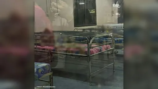 被當畜生關鐵籠！泰國「地獄護理之家」超恐怖　老母崩潰：被親生兒子騙進去