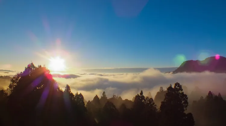 新春期間，追日欣賞雲海，入住阿里山賓館，就近至全球知名景點小笠原、祝山迎接曙光。阿里山賓館提供