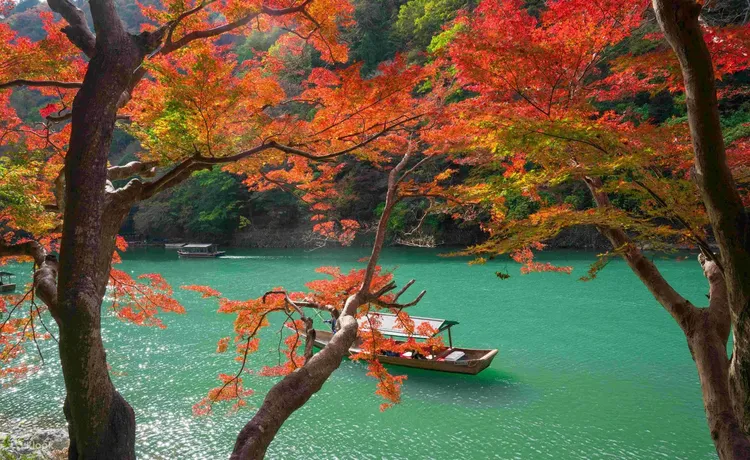 京都奈良一日遊將前往嵐山大堰川，秋季紅葉滿岸非常浪漫。業者提供